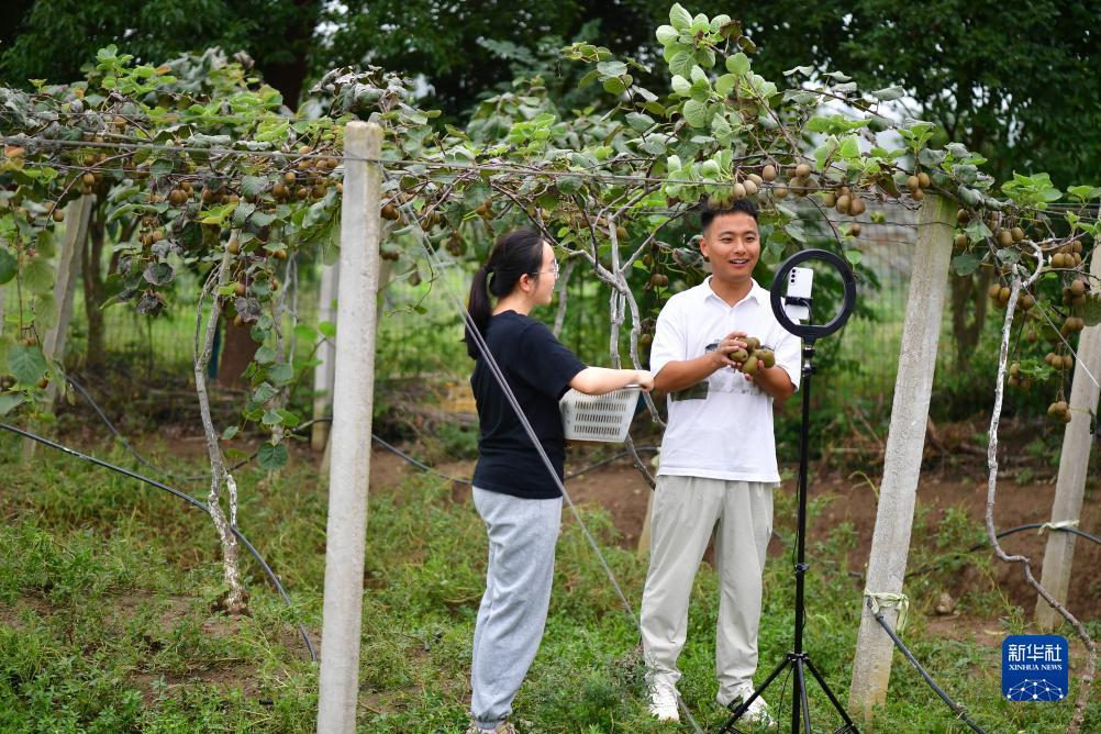 捕鱼大奖赛兑换码
